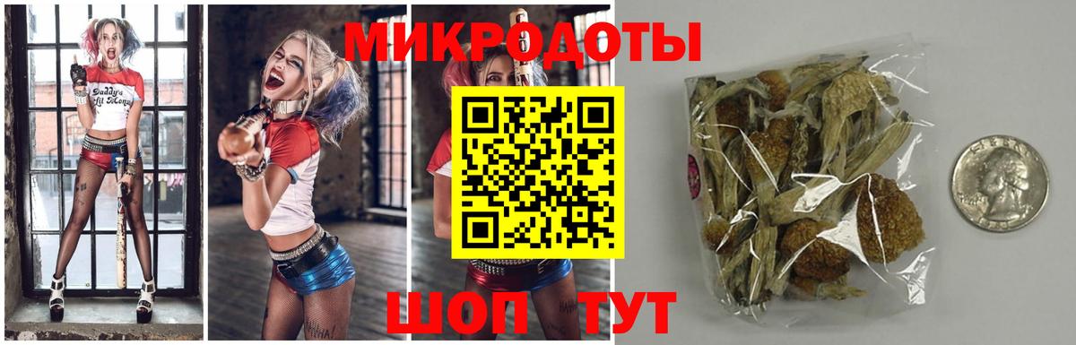 Сунжа  Псилоцибиновые грибы ЛСД  Вход с VPN 