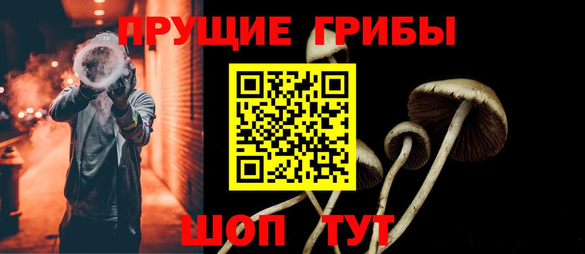 Псилоцибиновые грибы ЛСД Сунжа